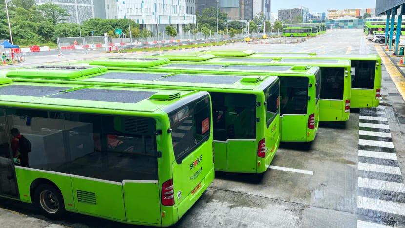 Solar equipped commercial buses lined up for service